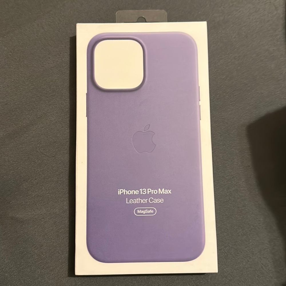 iPhone 13 Pro Max apple case